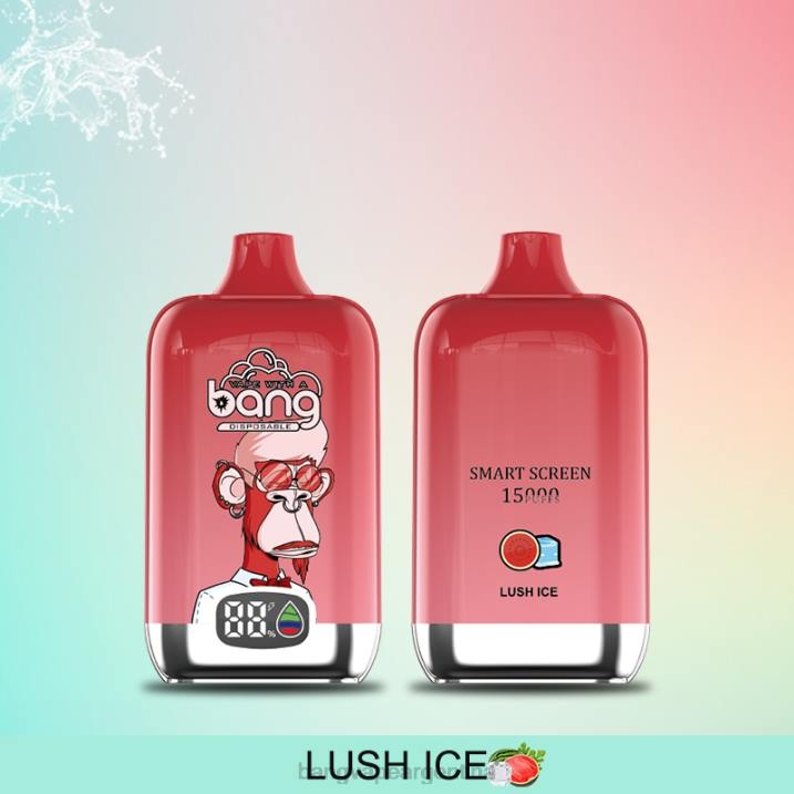 Bang Vape Digital Smart Screen 15000 inhalaciones 25ml 8B6J11 desechable Bang Vape argentina