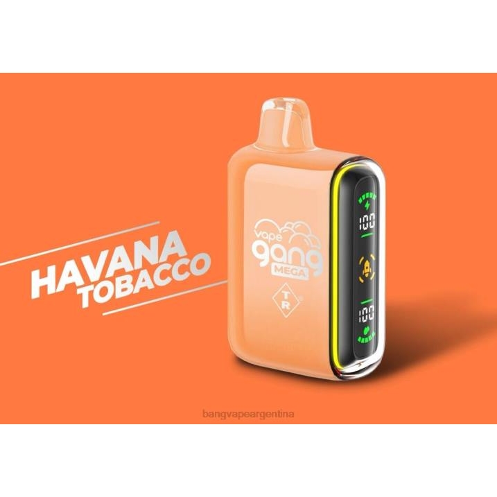 Vape Gang MEGA Vape desechable de 20.000 inhalaciones (caja de 5) 8B6J55 tabaco habano Bang Vape precio